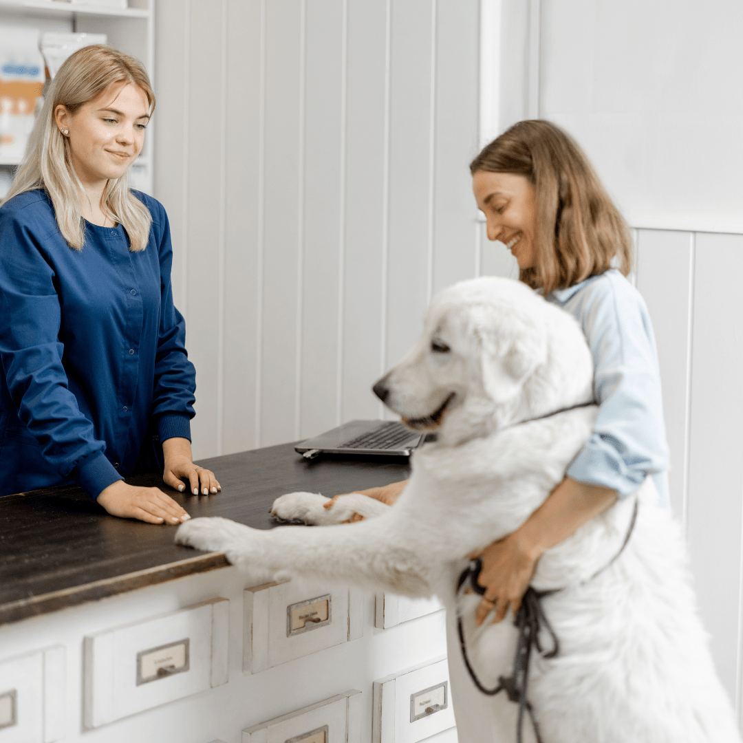 SERVICIO: Tratamientos Ambulatorios