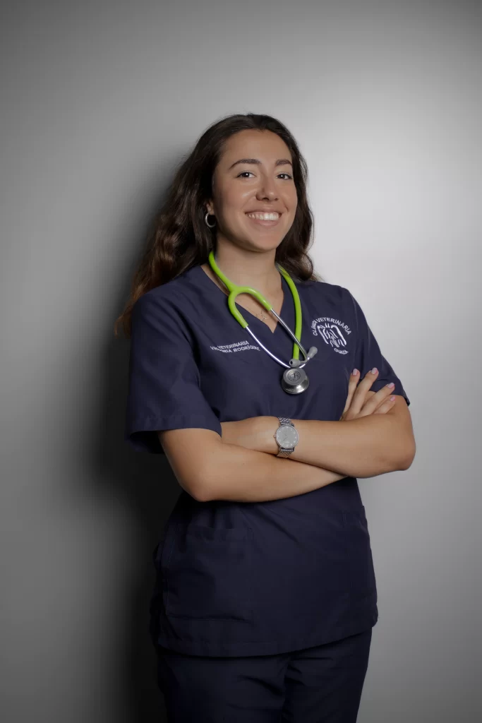 veterinaria clinica veterinaria guaza victoria